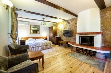 Standaard Lux kamer met een haard